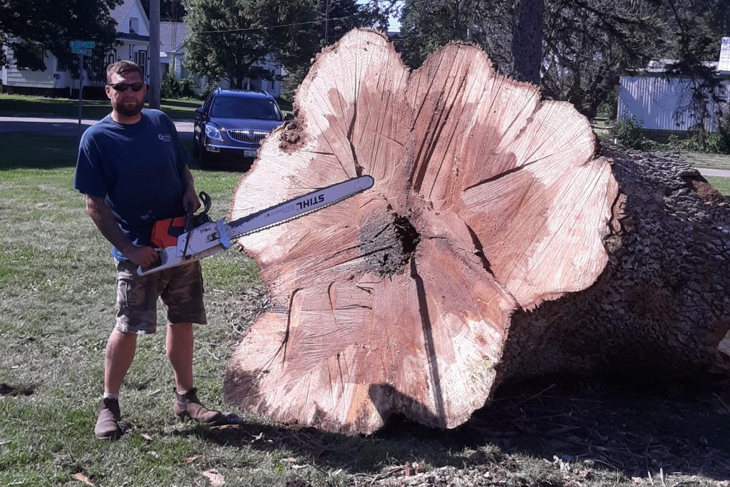 Greenland Tree Service owner with a chainsaw beside the trunk of a large tree he removed